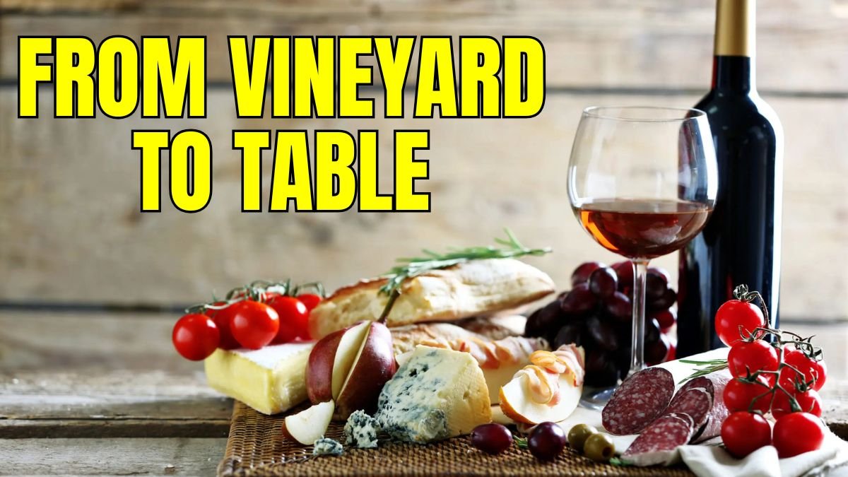From Vineyard to Table Perfect Italian Wine Pairings for Every Dish